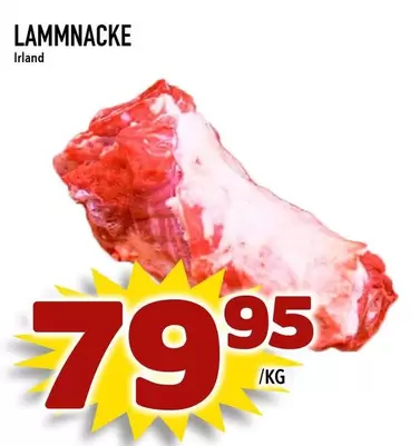 LAMMNAcke