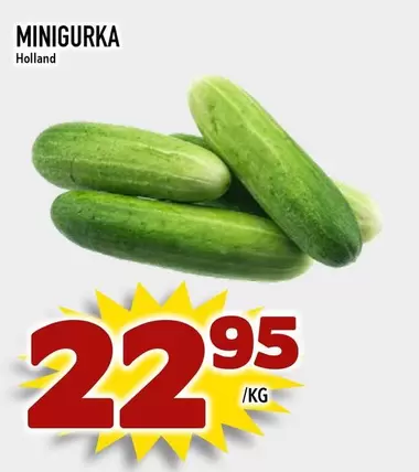 MINIGURKA