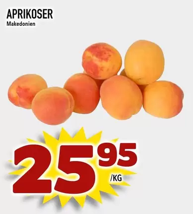 APRIKOSER