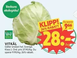 EKO - VITKÅL