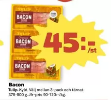 tulip - Bacon