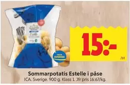 Sommarpotatis Estelle