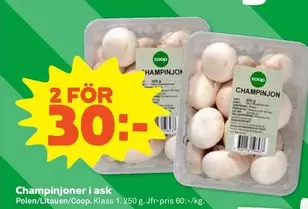 Coop - Champinjoner