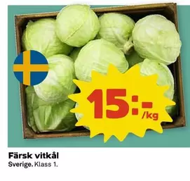 Färsk vitkål