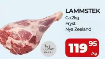 LAMMSTEK