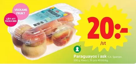 Paraguayos i ask
