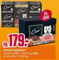 HUNDMAT 24x100 g