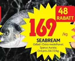 SEABREAM