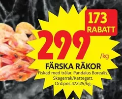 PANDALUS - FÄRSKA RÄKOR