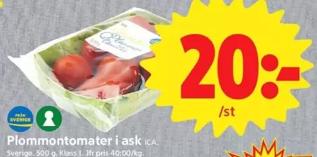 Plommontomater i ask