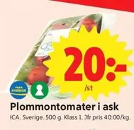 Plommontomater