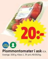 Plommontomater