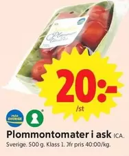 Plommontomater i ask