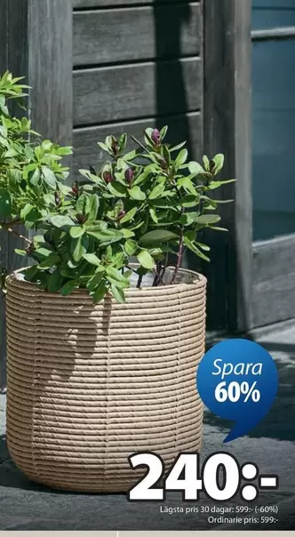 Plant pot