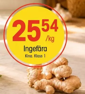 Ingefära