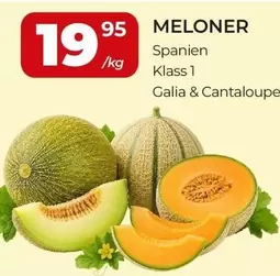 Meloner