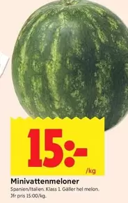 Minivattenmeloner