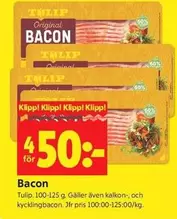 tulip - Bacon