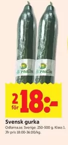 Svensk gurka