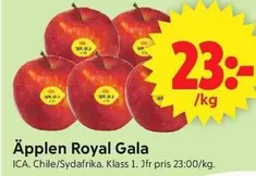 Äpplen Royal Gala