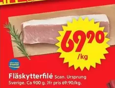 Scan - Fl
kytterfil