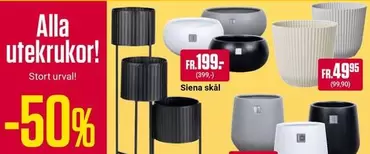 Alla utekrukor!