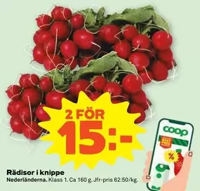 Coop - Rädisor i knippe