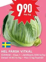 HEL FÄRSK VITKÅL