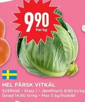 HEL FÄRSK VITKÅL