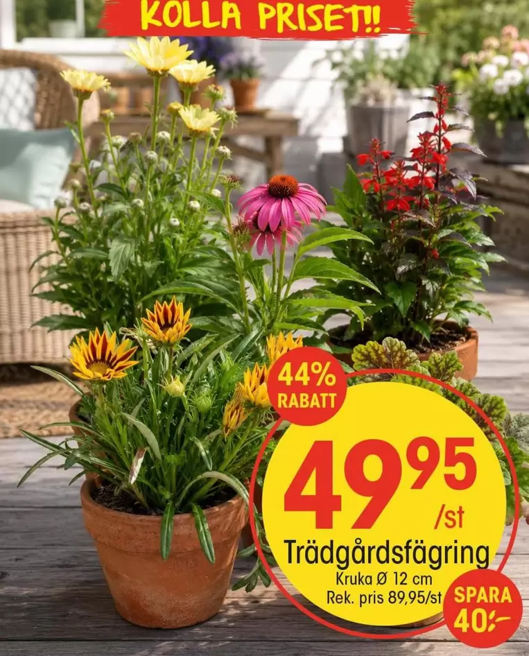 Trädgårdsfägring