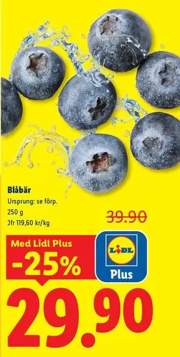 Blåbär