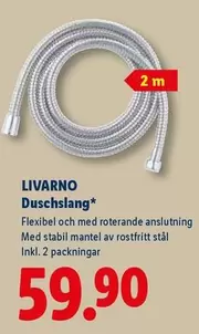 Duschslang