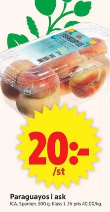 Paraguayos