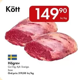 Scan - Högrev