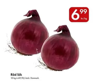 Röd lök