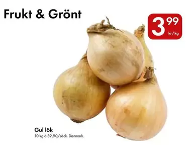 Gul lök