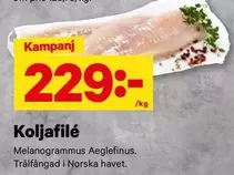 Koljafilé