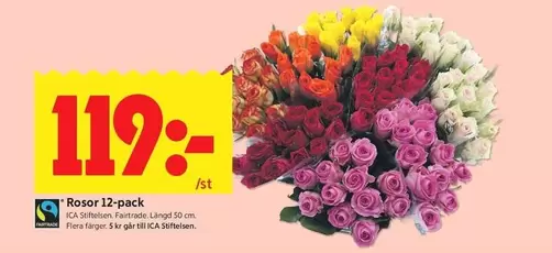 fairtrade - Rosor 12-pack