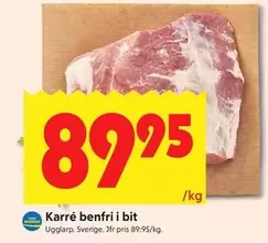 Karr benfri i bit
