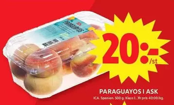 PARAGUAYOS I ASK