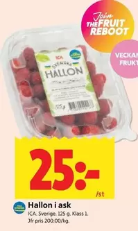 Hallon i ask