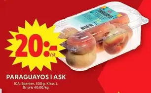 PARAGUAYOS