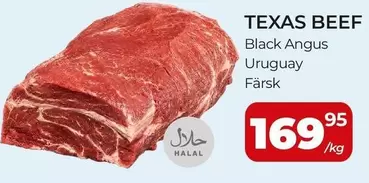 Texas - TEXAS BEEF