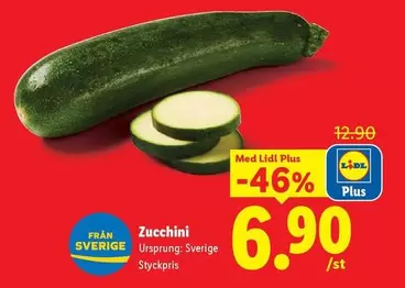 Zucchini