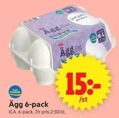 Ägg 6-pack