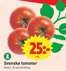 Svenska tomater