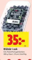 Blåbär i ask