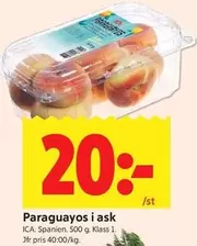 Paraguayos i ask