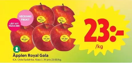 Äpplen Royal Gala