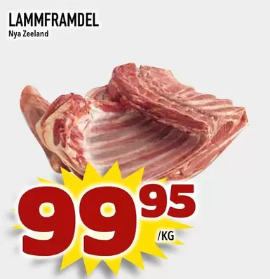 LAMMFRAMDEL
